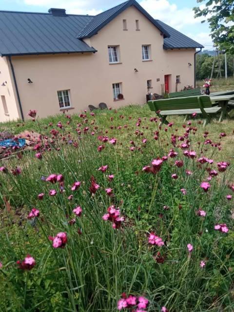 Apartment Makiem Zasial Dworki 10 *